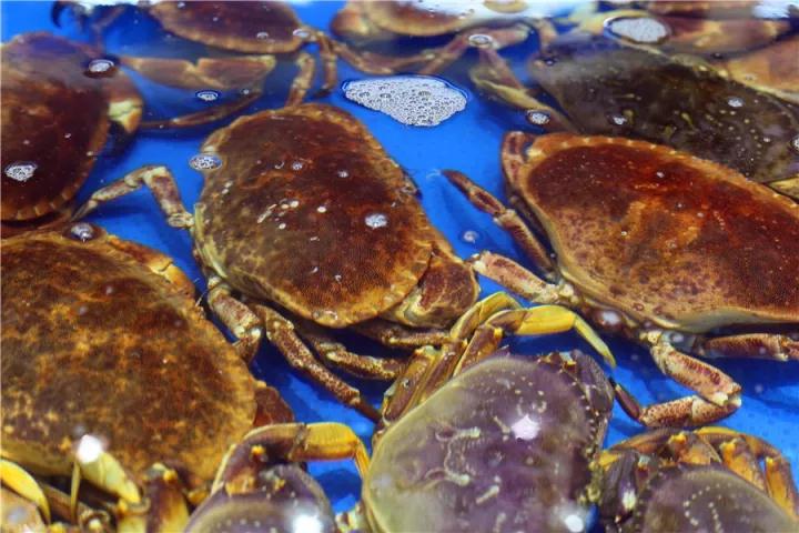 【時(shí)代儒商】膠東碼頭海鮮城淮揚(yáng)菜、魯菜、海鮮超多美味！滿足您的味蕾~~
