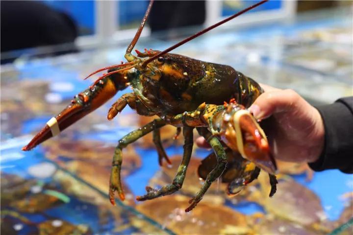 【時(shí)代儒商】膠東碼頭海鮮城淮揚(yáng)菜、魯菜、海鮮超多美味！滿足您的味蕾~~
