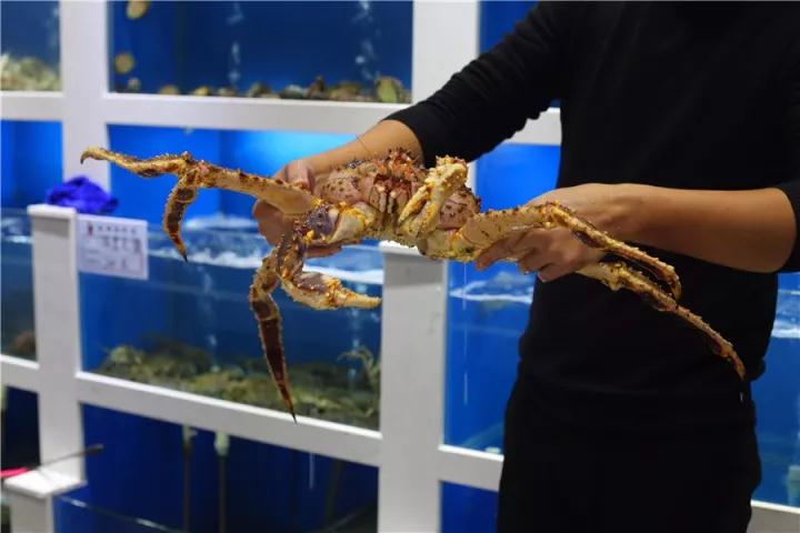 【時(shí)代儒商】膠東碼頭海鮮城淮揚(yáng)菜、魯菜、海鮮超多美味！滿足您的味蕾~~
