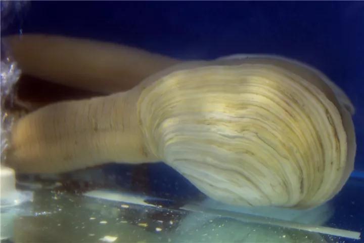 【時(shí)代儒商】膠東碼頭海鮮城淮揚(yáng)菜、魯菜、海鮮超多美味！滿足您的味蕾~~